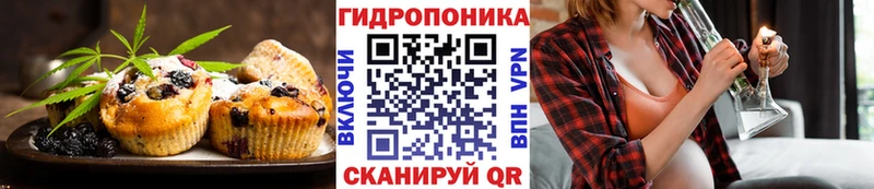 Canna-Cookies конопля  сколько стоит  Луга 