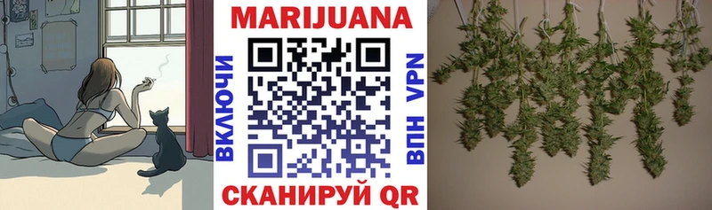 Бошки Шишки VHQ  Луга 